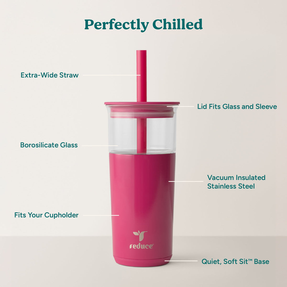 aspen-20-oz-s1 Aspen_Dragonfruit_PDP_Infographic2.jpg
