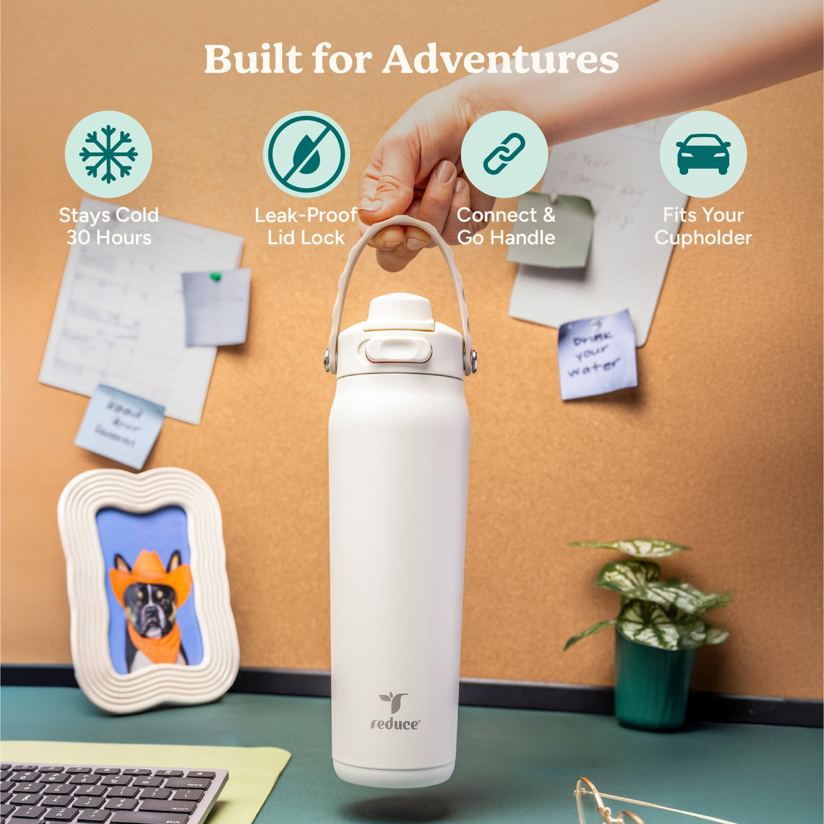 aura-26-oz-m4 Aura_26oz_Unbleached_PDP_Infographic_1.jpg