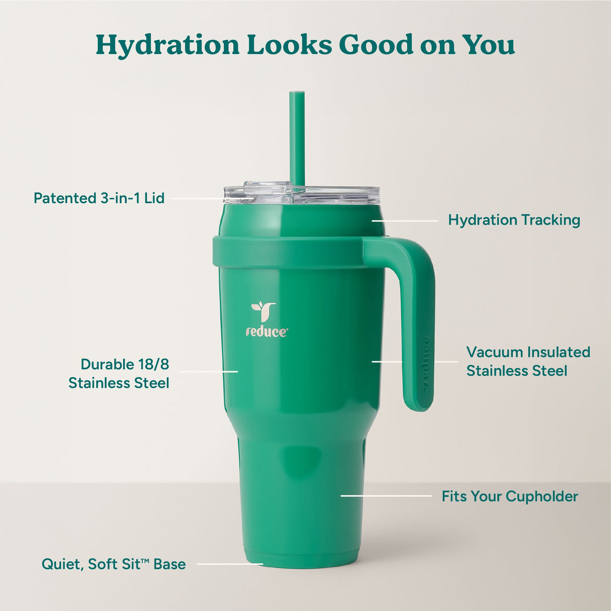 cold1-40-oz-r1 Cold1_40oz_PalmLeaf_Infographic_2.jpg
